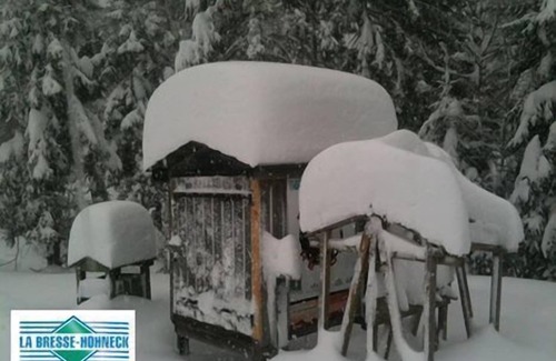 Gerardmer Apartment | Apartment/flat - Gerardmer