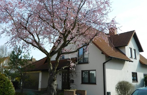 Mainz-Bingen Apartment | Apartment for 2-3 people in the Zornheim wine region