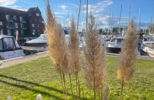 Ueckermuende Apartment | Apartment for 3 guests with 55m² in Ueckermünde (55063)