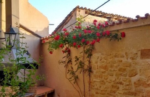 La Codonera Apartment | Apartment for 3 pers. next to the Spanish Tuscany, the Matarraña region.