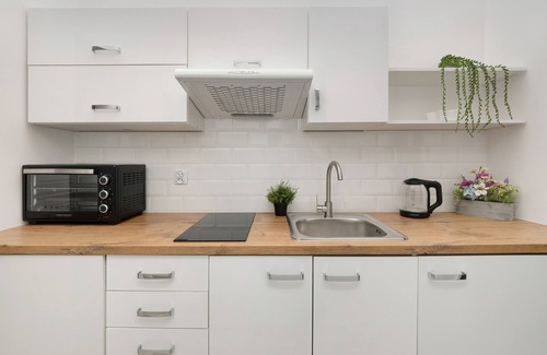Srodmiescie Apartment | Apartment for 4 in Łódz by Renters