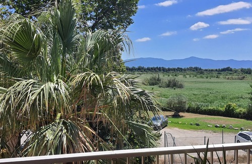 Les Hauts de Canet Apartment | Apartment