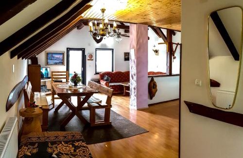 Irinovac Apartment | Apartment Franciska