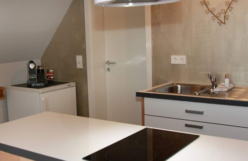 Bisingen Apartment | Apartment Frederick, 50sqm, 1 bedroom, max. 2 persons