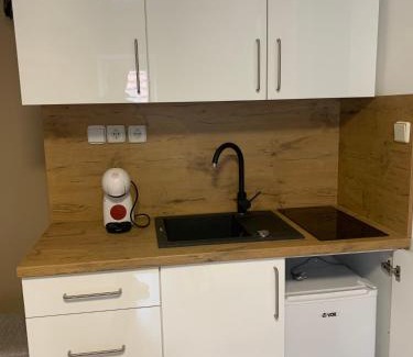 Zavrc Apartment | Apartment Gajsek