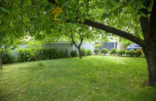 Blagaj Apartment | Apartment Garden