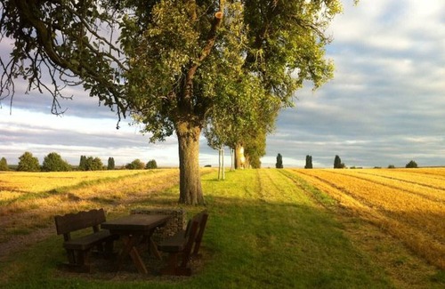 Offenheim House | Apartment, garden, courtyard, Rheinhessen, close to the forest