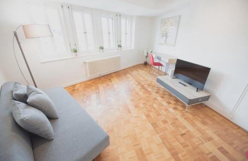 James-Fazy Apartment | Apartment Geneva city center