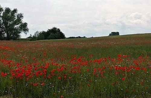 Gerswalde Apartment | Apartment Gerswalde UCK 1081 - UCK 1081