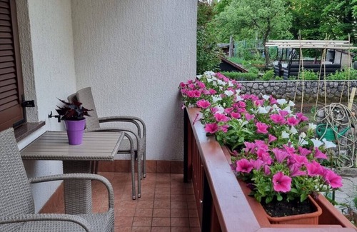 Lokve Apartment | Apartment Gordana for 4 + 2 persons in the heart of Gorski Kotar nature