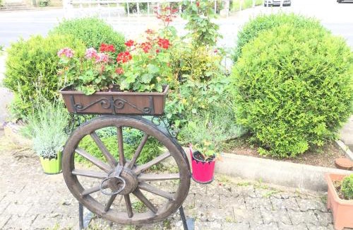 Pinzberg Apartment | Apartment Gosberg - 90qm