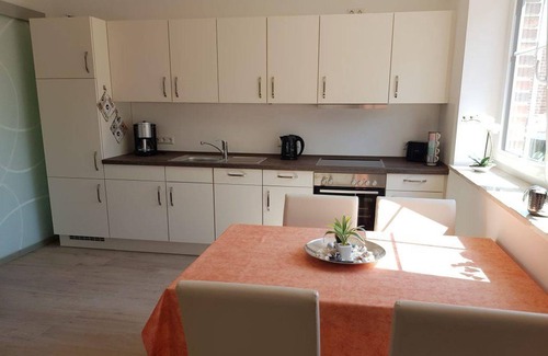 Tating Apartment | Apartment ground floor wheelchair accessible - house Nordergeest