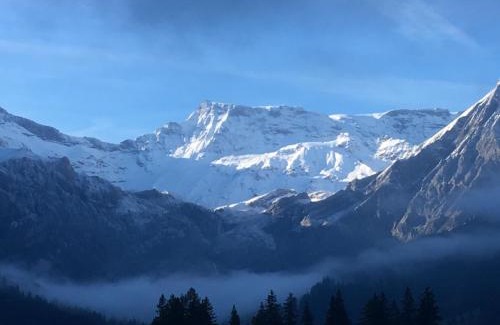 Adelboden Apartment | Apartment Hari by Interhome