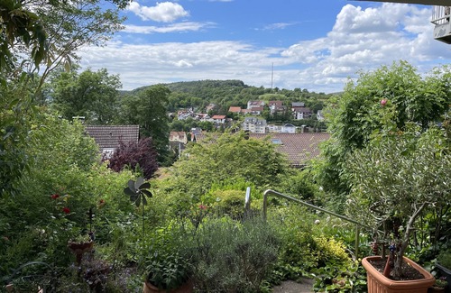 Momlingen Apartment | Apartment 'Haus Königswald' with Private Terrace and Wi-Fi