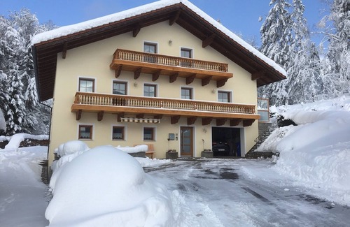 Neureichenau Apartment | Apartment Haus-Peschl