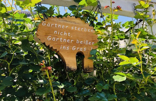 Griessen Apartment | Apartment 'Haus Zeller' with Private Terrace and Wi-Fi
