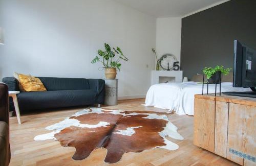 Hof van Delft Apartment | Apartment Havenstraat