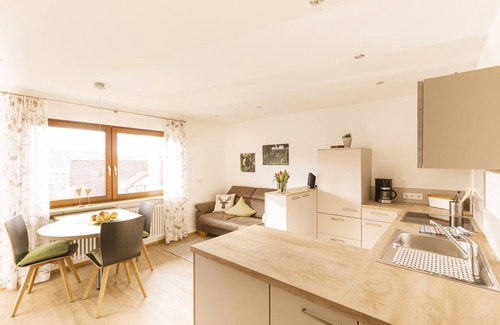 Kappelrodeck Apartment | Apartment 'Hofquartier' with Shared Garden, Balcony and Wi-Fi