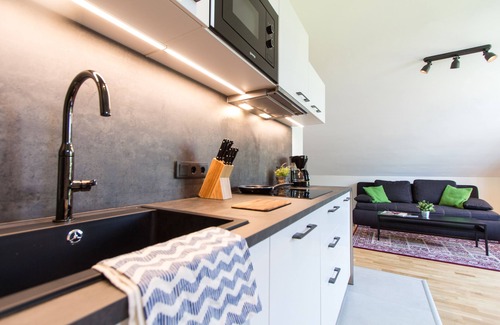 Speising Apartment | Apartment Hofwiesengasse