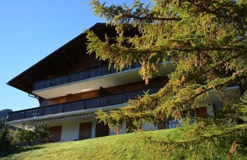 Saanen Apartment | Apartment Hornflue - Wohlwender by Interhome