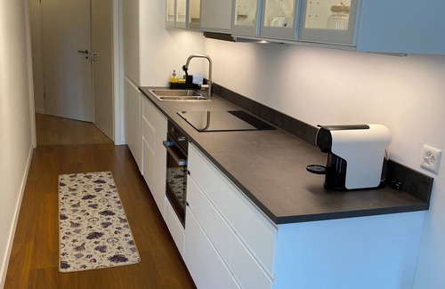 Torricella Taverne Apartment | Apartment in Torricella in the heart of Ticino