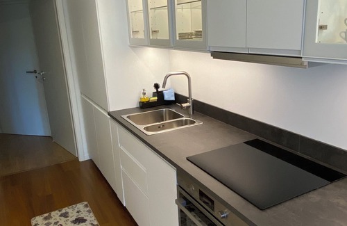 Torricella Taverne Apartment | Apartment in Torricella in the heart of Ticino