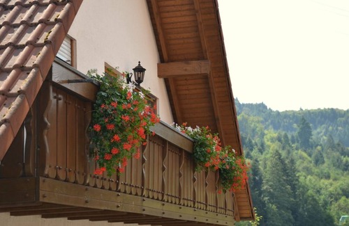 Berghaupten Apartment | Apartment in a fantastic location near Europapark
