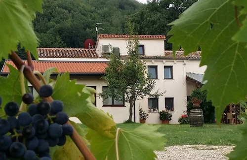 Gemmano Apartment | Apartment in a winery in the countryside with pool and breathtaking view