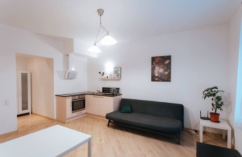 Agenskalns Apartment | Apartment in Art Nouveau style house free parking