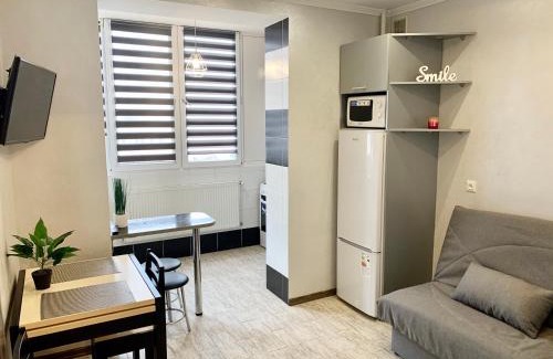 Ivano-Frankovsk Apartment | Apartment in center