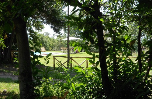 Viterbo House | Apartment in Country House La Meridiana Strana with swimming pool