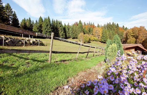 Urberg Apartment | Apartment in Dachsberg-Urberg