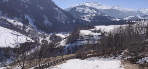 Disentis Apartment | Apartment in Disentis
