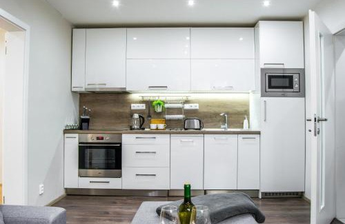 Olomouc Apartment | Apartment in downtown
