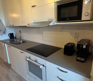 Kuopio Apartment | Apartment in Kuopio's Archipelago City