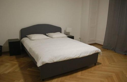 Mattenhof-Weissenbuhl Apartment | Apartment In Loriplatz