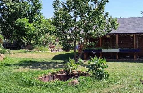 Muncheberg Apartment | Apartment in Müncheberg 53547