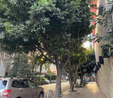 Zona Rosa Apartment | Apartment in Mexico City