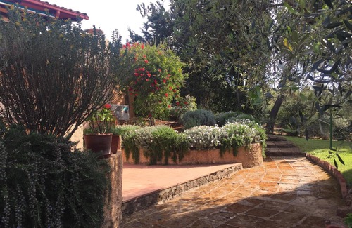 Orbetello Apartment | Apartment in Olive Trees garden with sea view