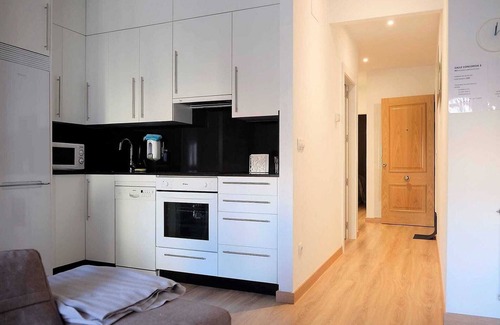 Ourense Apartment | Apartment in Ourense near Hot Springs