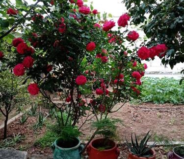 Paiania Apartment | Apartment in Peania (15min from Airport)