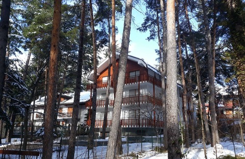 Bardonecchia Apartment | Apartment in pine forest 200 meters from the ski slopes !