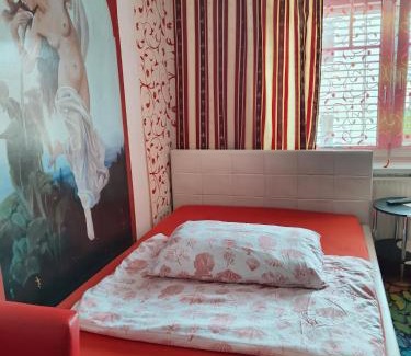 Attnang-Puchheim Apartment | Apartment in Salzkammergut