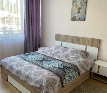 Pamporovo Apartment | Apartment in Studenets, Pamporovo