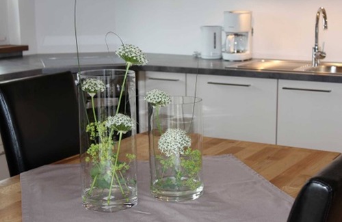 Freiamt Apartment | Apartment in the Brennhaus - Apartment about 70sqm for max. 4 people