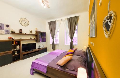 Zizkov Apartment | Apartment in the center of Prague