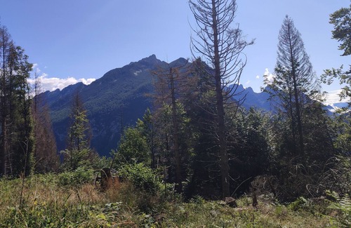 Gosaldo Apartment | Apartment in the Dolomites near San Martino di Castrozza