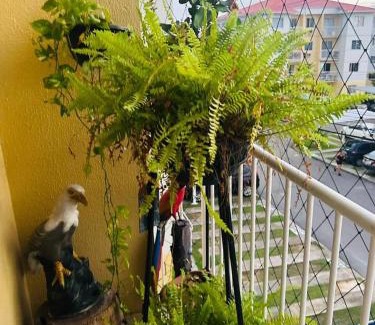 Taruma-Acu Apartment | Apartment in Torquato Tapajós
