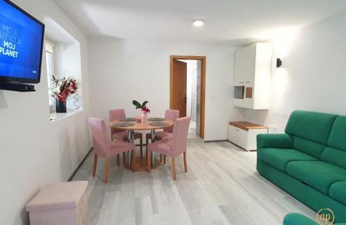 Secovlje Apartment | Apartment Irene