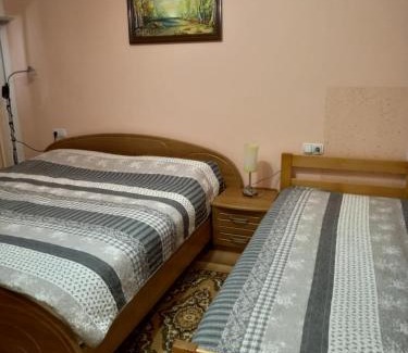 Zrece Apartment | Apartment Jorsi with Mountain View